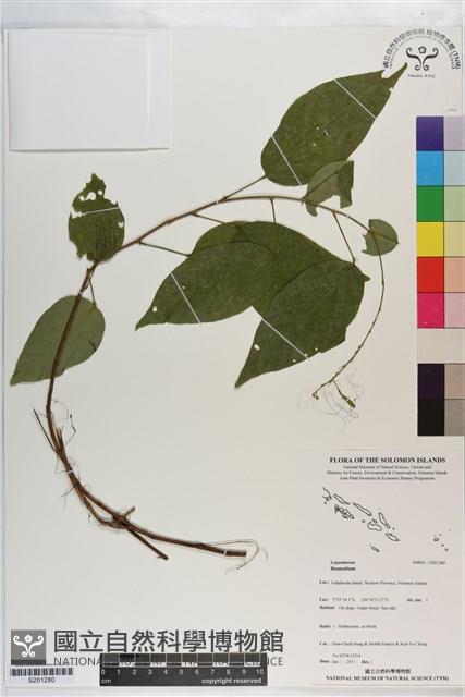 登錄號:S201280藏品圖，第1張