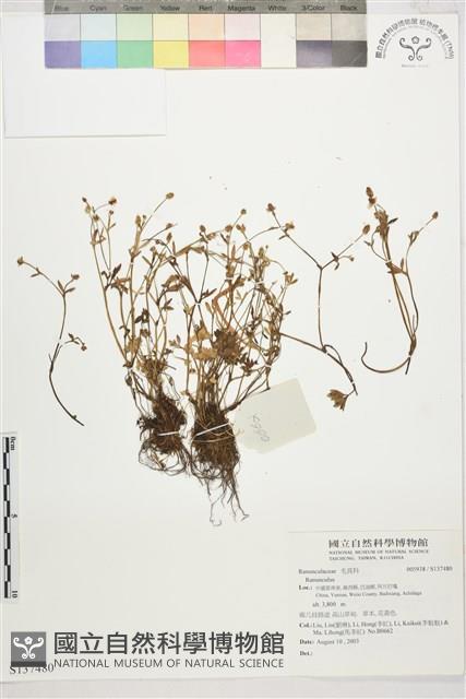登錄號:S137480藏品圖，第1張