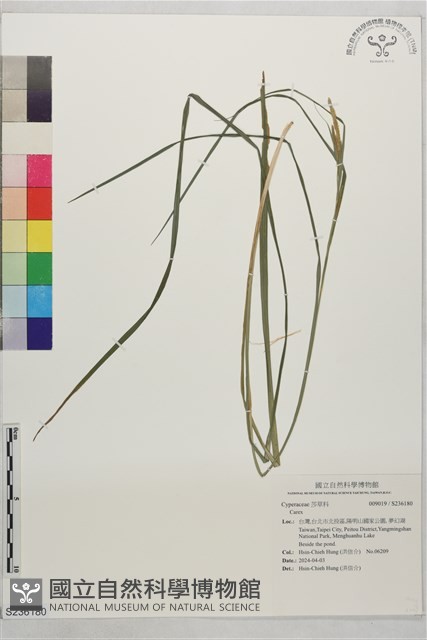 登錄號:S236180藏品圖，第1張