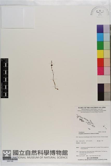 登錄號:S201180藏品圖，第1張