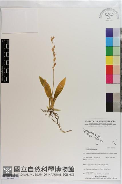 登錄號:S203180藏品圖，第1張