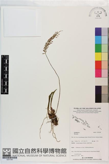登錄號:S201380藏品圖，第1張