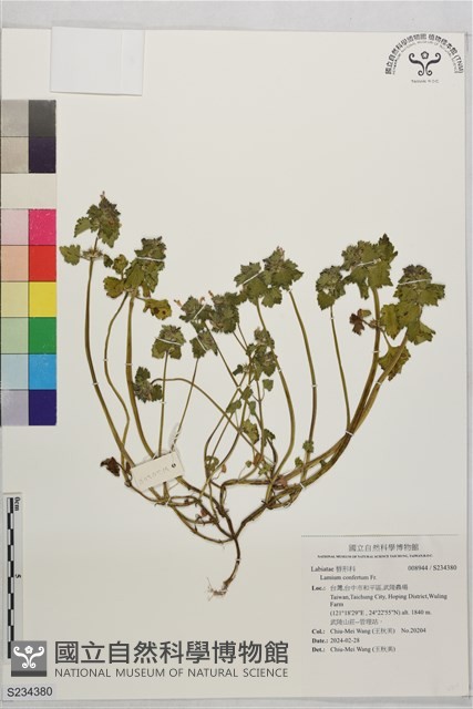 登錄號:S234380藏品圖，第1張