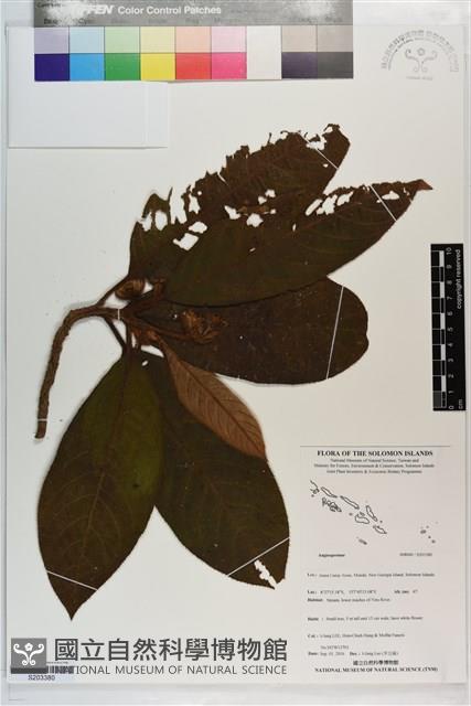 登錄號:S203380藏品圖，第1張