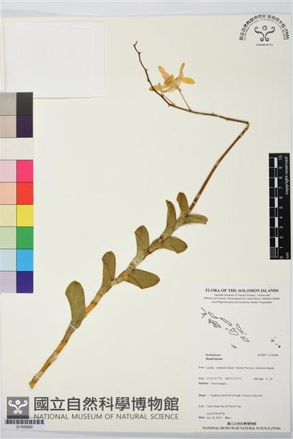 登錄號:S195880藏品圖，第1張