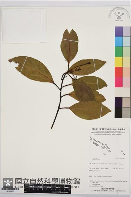 登錄號:S195980藏品圖，第1張