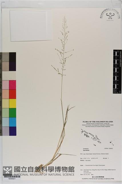 登錄號:S200021藏品圖，第1張