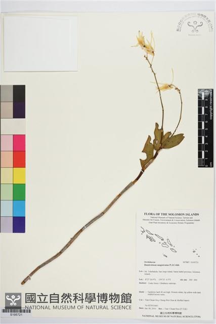 登錄號:S195721藏品圖，第1張