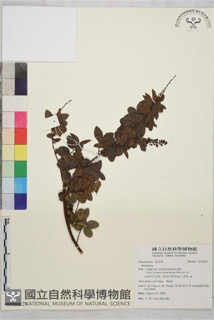 登錄號:S122221藏品圖，第1張