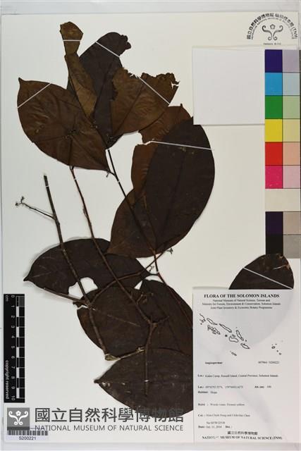 登錄號:S200221藏品圖，第1張