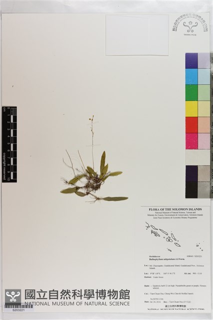 登錄號:S203221藏品圖，第1張