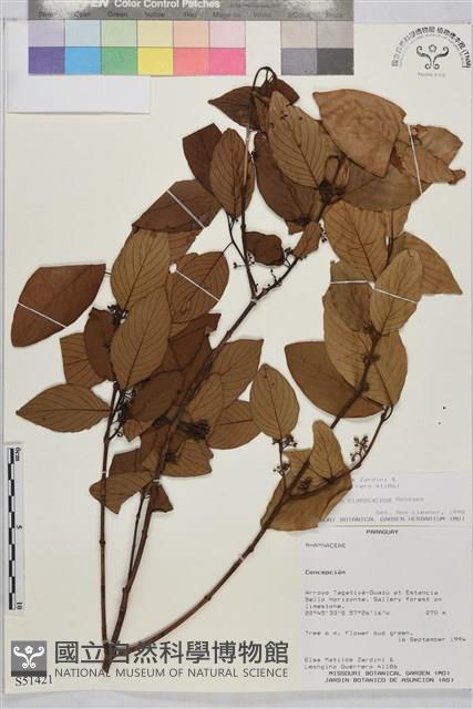 登錄號:S051421藏品圖，第1張