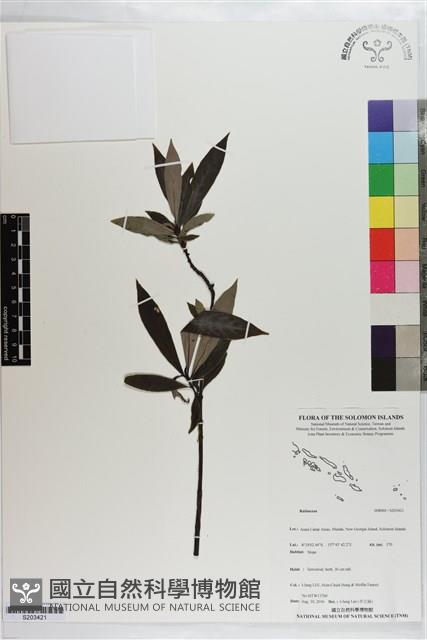 登錄號:S203421藏品圖，第1張