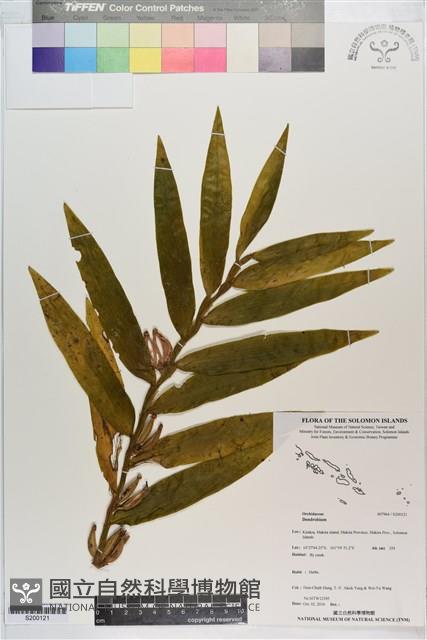 登錄號:S200121藏品圖，第1張