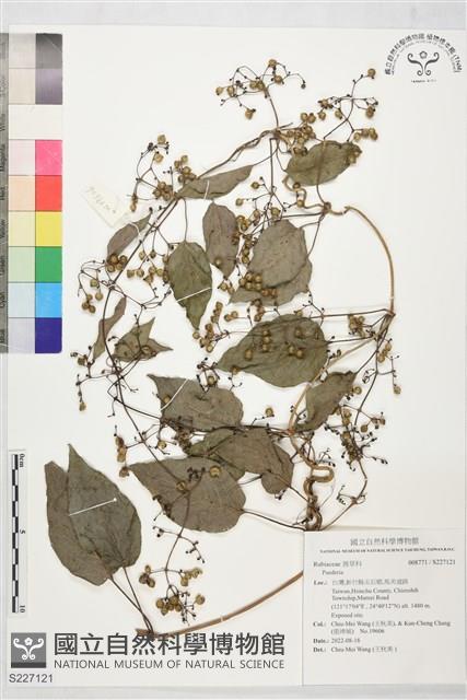 登錄號:S227121藏品圖，第1張