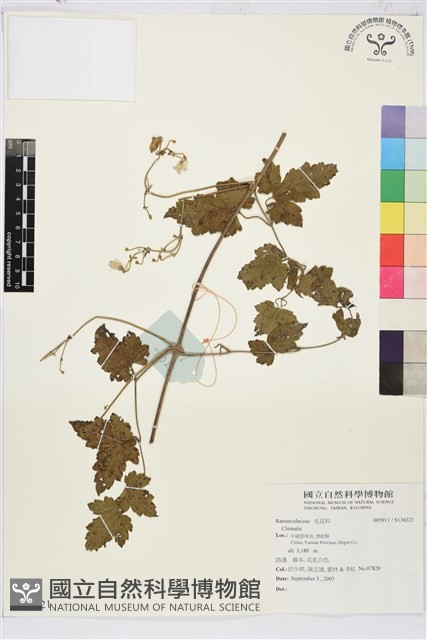 登錄號:S136321藏品圖，第1張