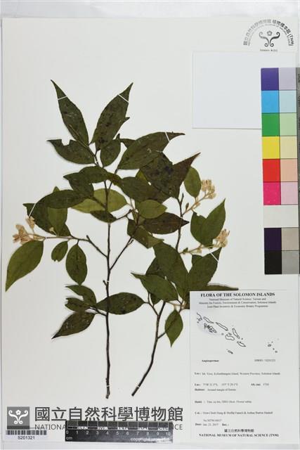 登錄號:S201321藏品圖，第1張