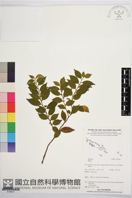 登錄號:S195921藏品圖，第1張