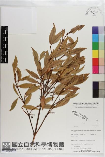 登錄號:S203521藏品圖，第1張