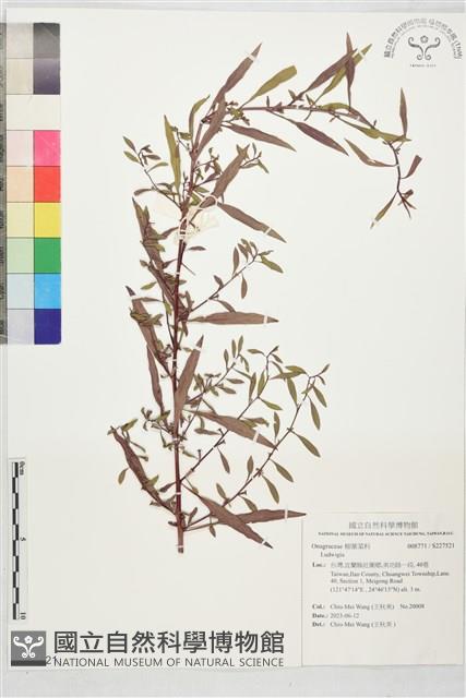 登錄號:S227521藏品圖，第1張