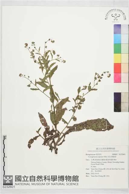 高山倒提壺藏品圖，第1張