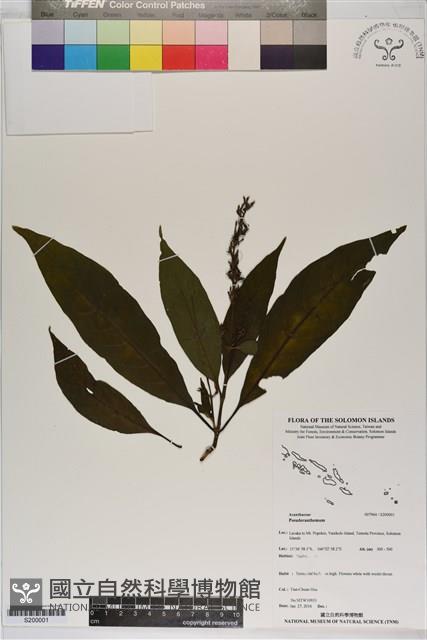 登錄號:S200001藏品圖，第1張