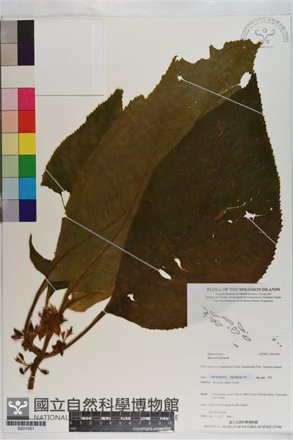 登錄號:S201001藏品圖，第1張