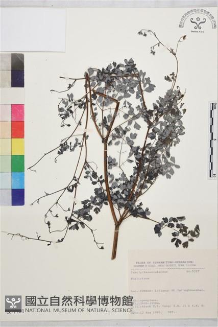 登錄號:S031701藏品圖，第1張