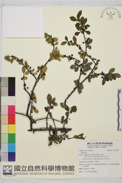 登錄號:S122201藏品圖，第1張