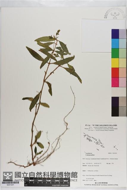 登錄號:S201201藏品圖，第1張