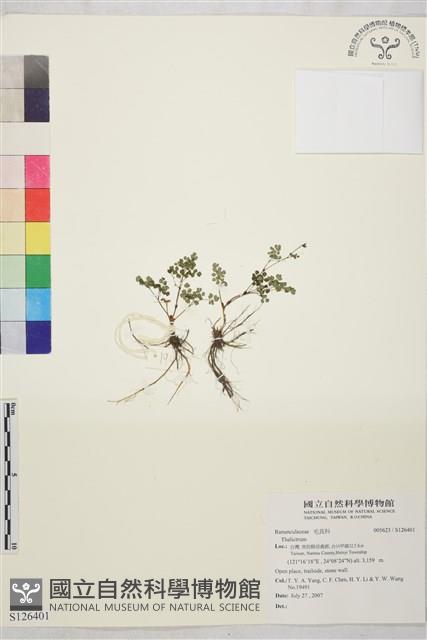 登錄號:S126401藏品圖，第1張