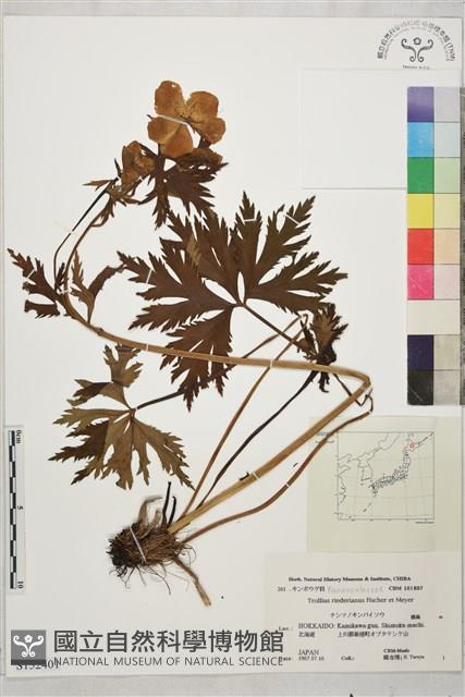 登錄號:S152401藏品圖，第1張