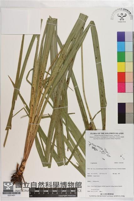 登錄號:S201401藏品圖，第1張