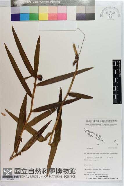 登錄號:S203401藏品圖，第1張