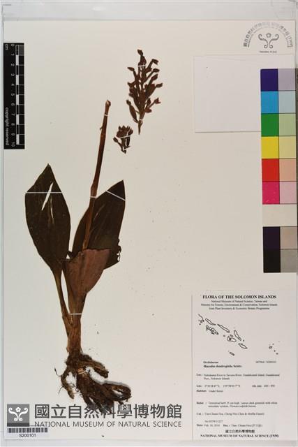 登錄號:S200101藏品圖，第1張