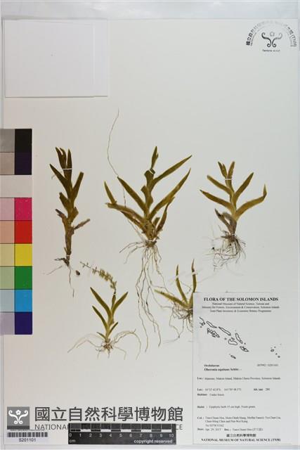 登錄號:S201101藏品圖，第1張
