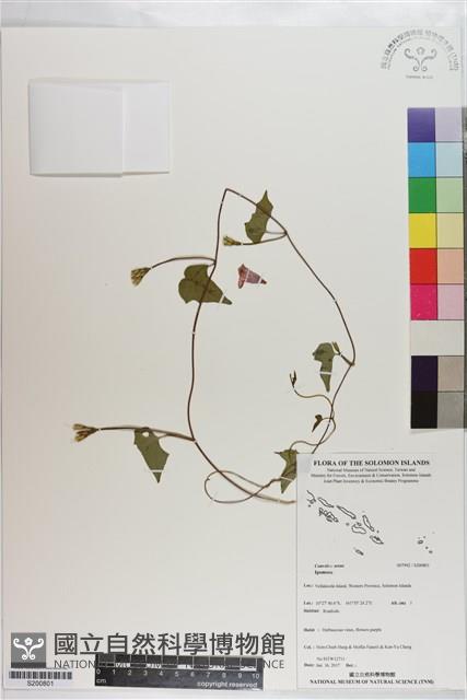 登錄號:S200801藏品圖，第1張