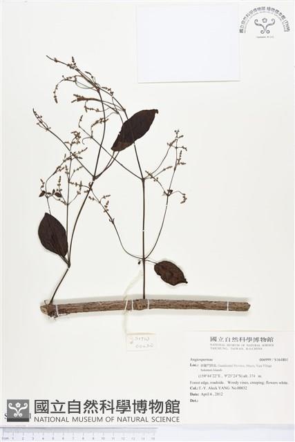 登錄號:S164801藏品圖，第1張