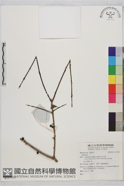 登錄號:S137501藏品圖，第1張