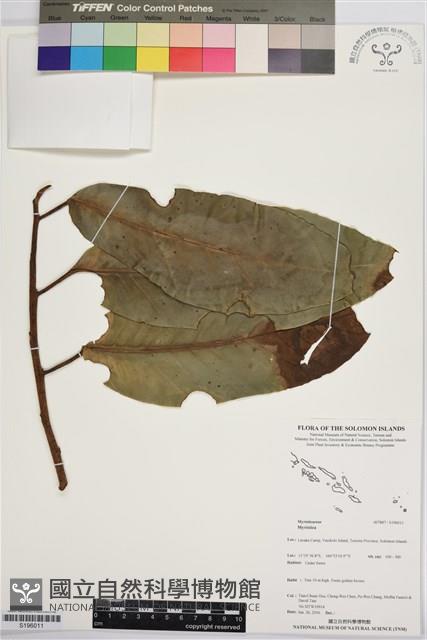 登錄號:S196011藏品圖，第1張