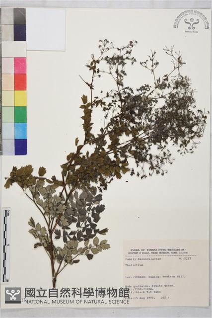 登錄號:S031711藏品圖，第1張