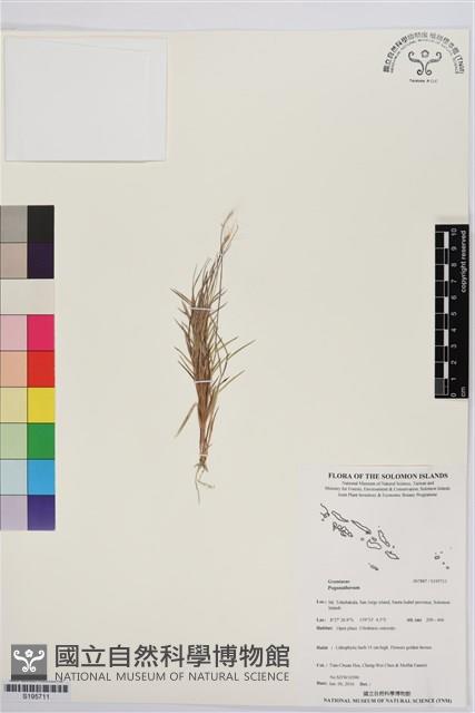 登錄號:S195711藏品圖，第1張