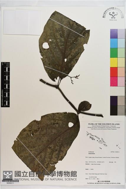 登錄號:S200211藏品圖，第1張