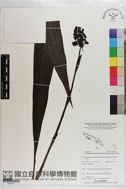 登錄號:S203211藏品圖，第1張