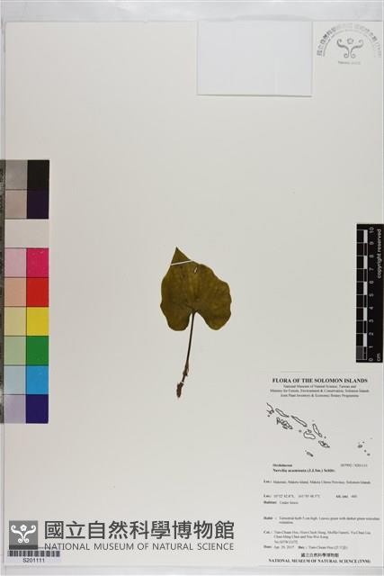 登錄號:S201111藏品圖，第1張