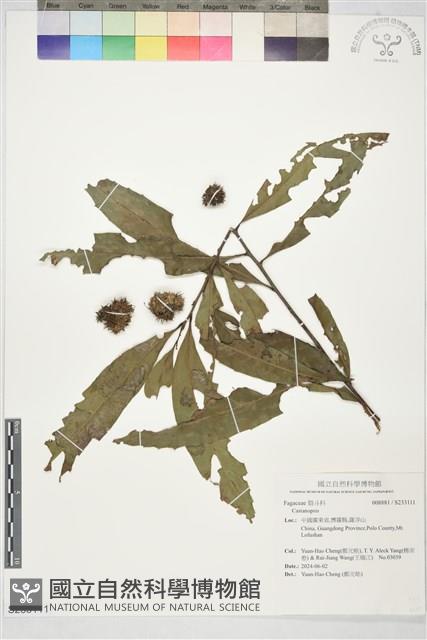 登錄號:S233111藏品圖，第1張