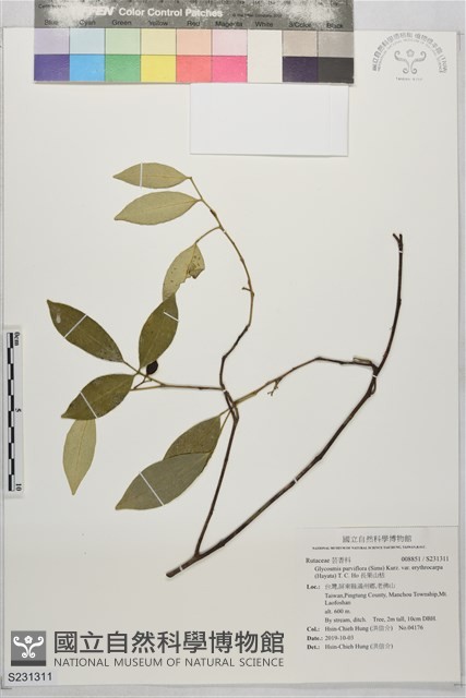長果山桔藏品圖，第1張