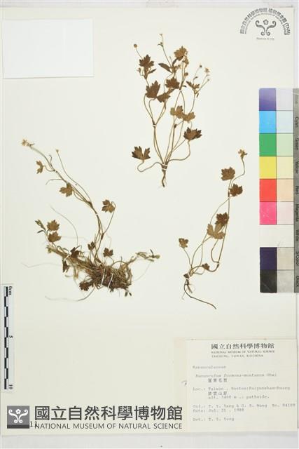 Accession Number:S015811 Collection Image