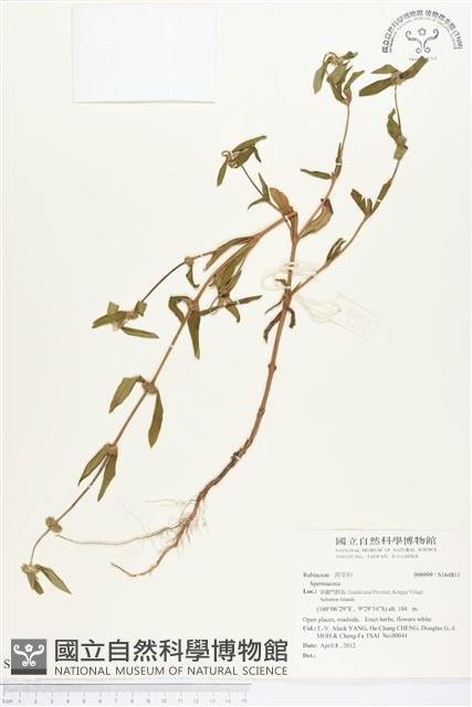 Accession Number:S164811 Collection Image