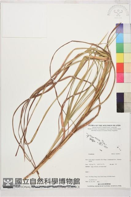 登錄號:S207811藏品圖，第1張